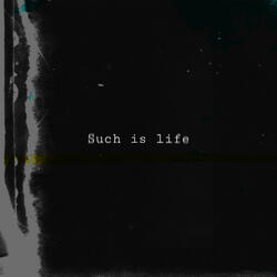Such Is Life
