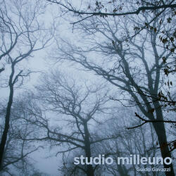 Studio milleuno