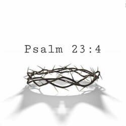 Psalm 23 : 4