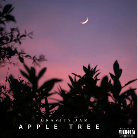 Apple Tree