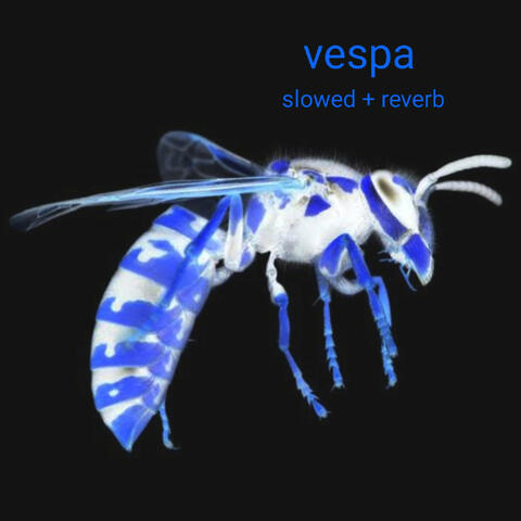 Vespa (Slowed + Reverb)