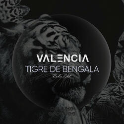 Tigre De Bengala