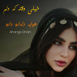خیلی وقتە که دلم هوایه دلدارە داره