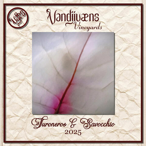 Vandjivæns Vineyards: Turoneros & Savocchio