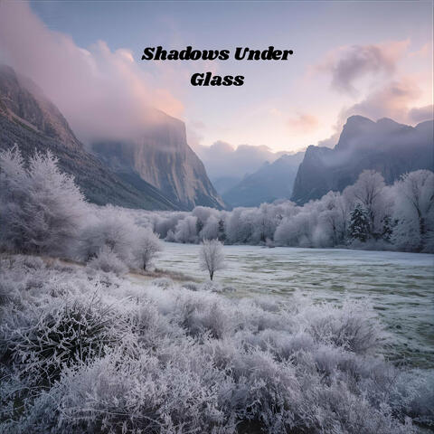 Shadows Under Glass