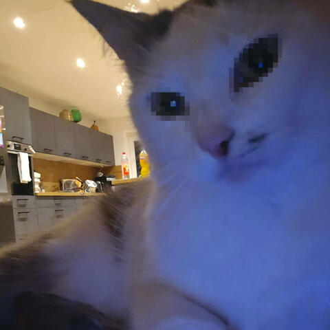 You