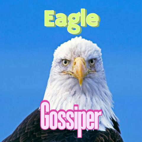 Gossiper