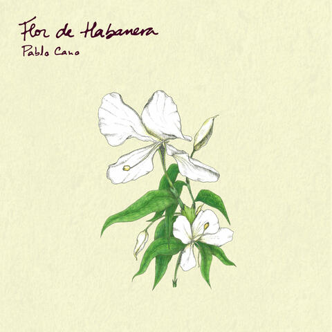 Flor De Habanera