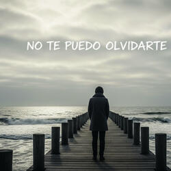 No te puedo olvidarte