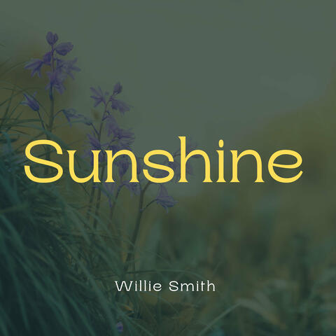 Sunshine
