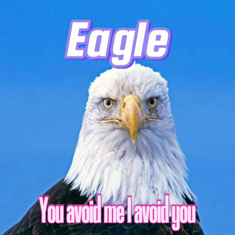 You Avoid Me I Avoid You