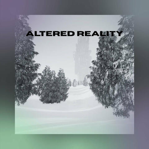 Altered Reality