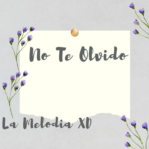 No Te Olvido