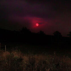 All Things Considered, You Were the Best