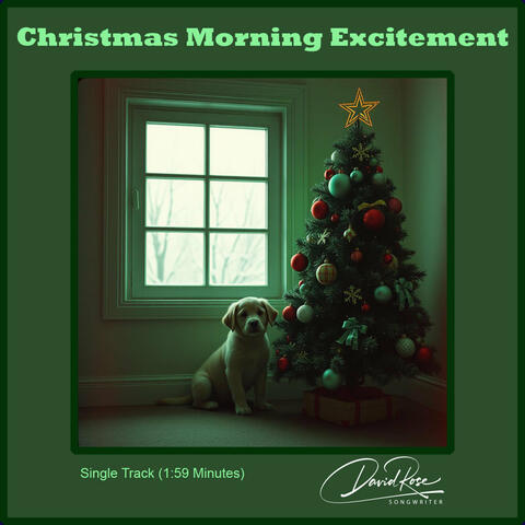 Christmas Morning Excitement