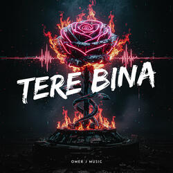 Tere Bina