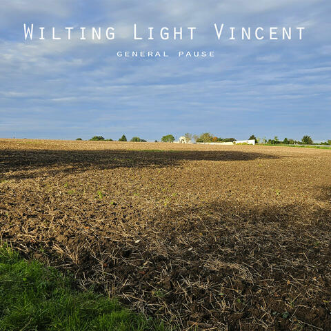 Wilting Light Vincent