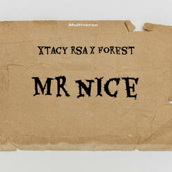 Mr Nice