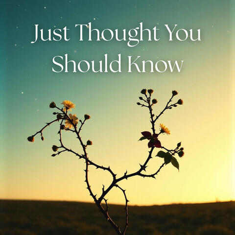 Just Thought You Should Know