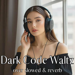 Shadow Playback