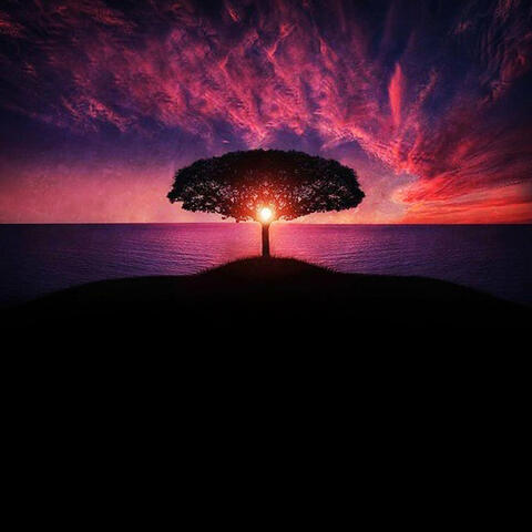 Tree of Life