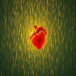 Contigo aprendi amar