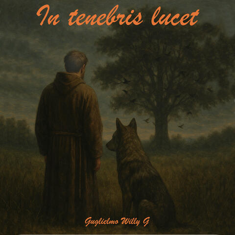 Francesco Luce nelle Tenebre