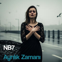Ayrılık Zamanı