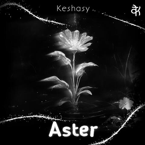 Aster