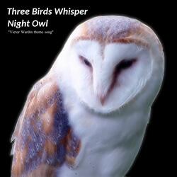 Night Owl (Victor Wardin Theme Song)