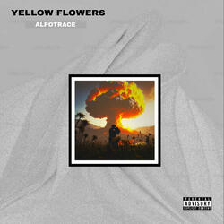 Yellow Flowers