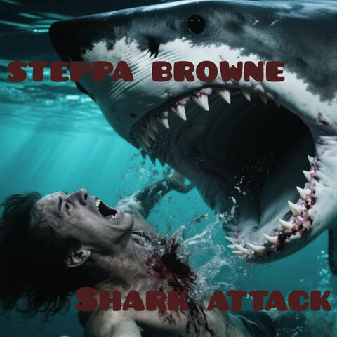 Shark Attack