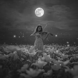 Love Falls Through Time