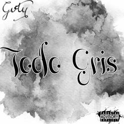 Todo Gris