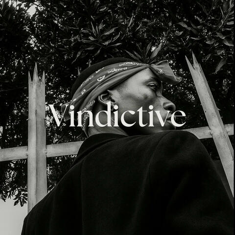 Vindictive