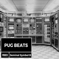 Seminal Symbol B