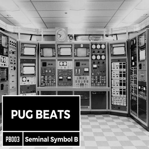 Seminal Symbol B