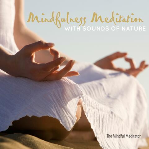 The Mindful Meditator