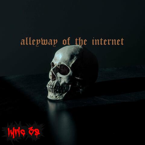 Alleyway of the Internet