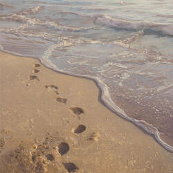 Tracing Footprints