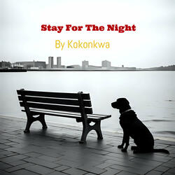 Stay for the Night