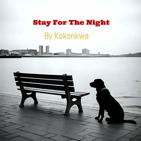Stay for the Night