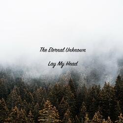 Lay My Head