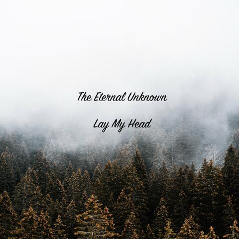 Lay My Head