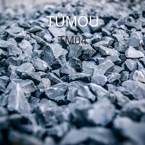 Tm04