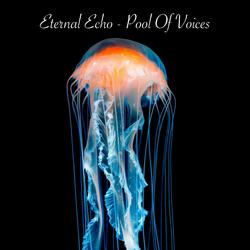 Pool of Voices