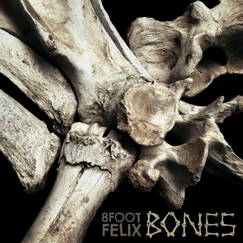 Bones