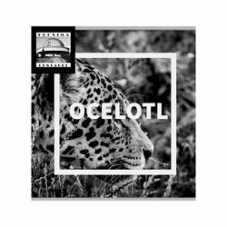 O.C.E.L.O.T.L.