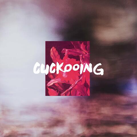 Cuckooing