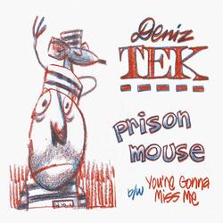 Prison Mouse